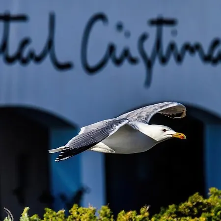 Gæstehus Cristina *